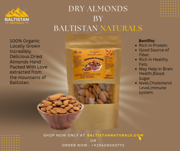 Almond Kernels – Baltistan Naturals