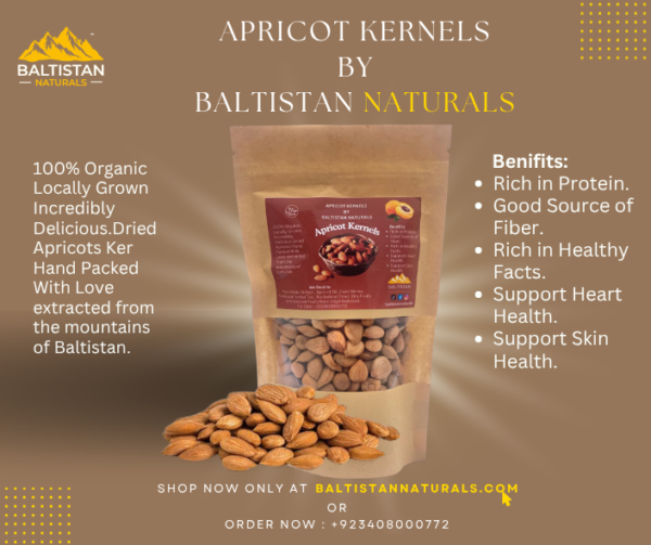 Apricot Kernels – Natural & Fresh